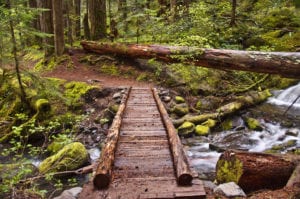 bridge over water on hiking trail