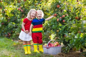 kids posing in an apple orchard